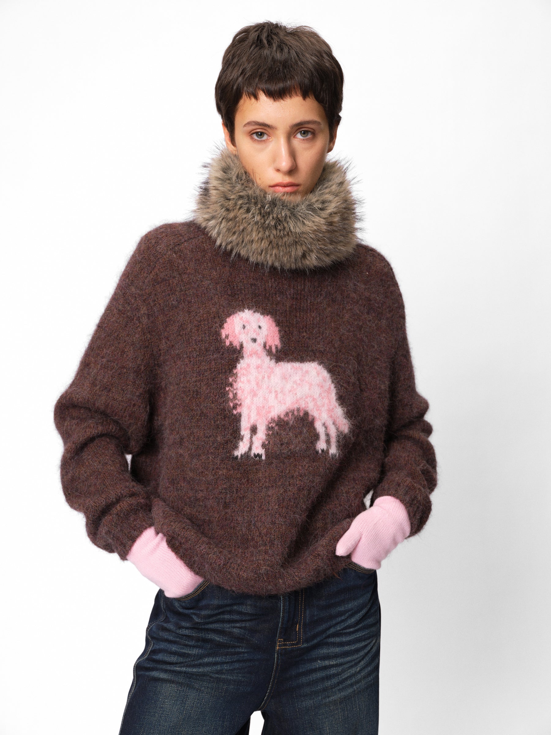 Pink Puppy Jacquard Alpaca Wool Pullover mocha