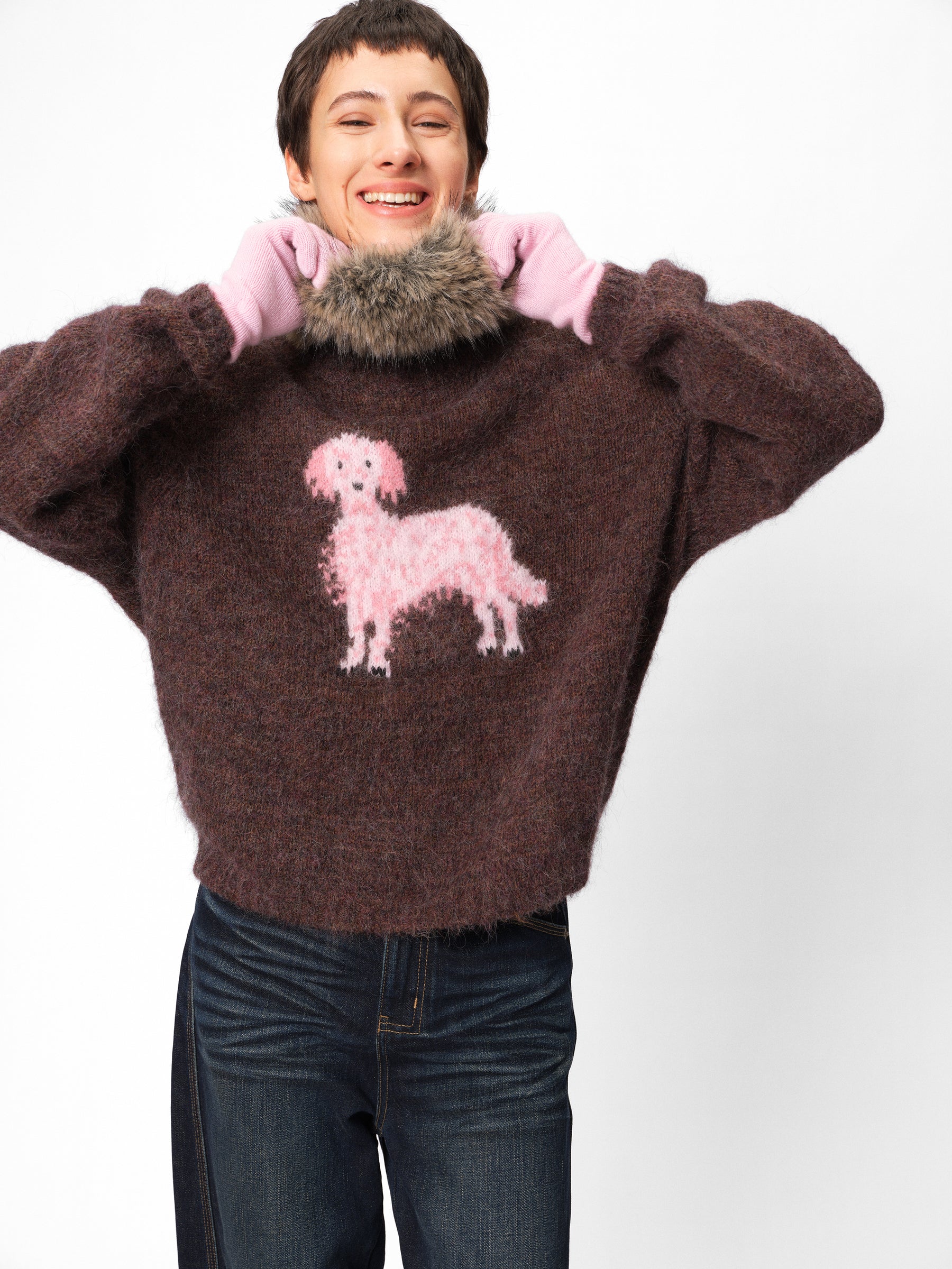 Pink Puppy Jacquard Alpaca Wool Pullover mocha
