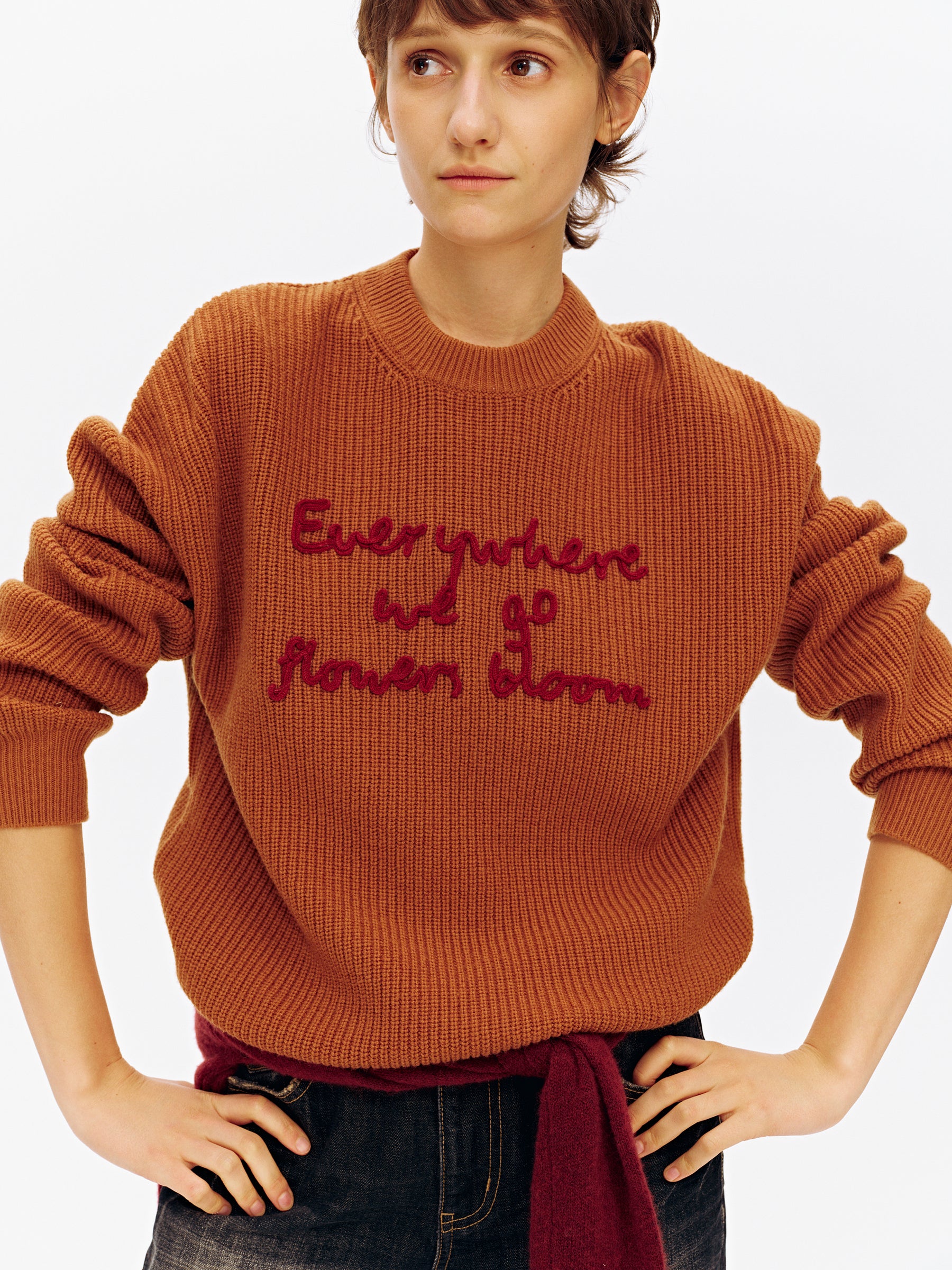 Wool Blend Embroidered Crewneck Chunky Knit Pullover khaki